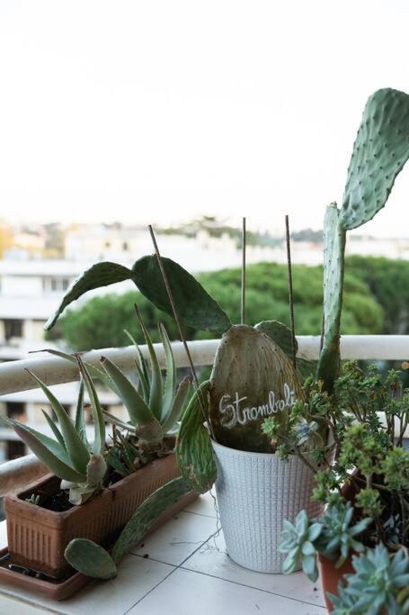 Casa 'Ttaja - Mediterranean Eco-Apartment Рим Екстериор снимка